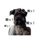 おばっちdog（個別スタンプ：4）
