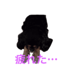 おばっちdog（個別スタンプ：5）