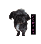 おばっちdog（個別スタンプ：7）