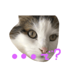 ひまとこま（個別スタンプ：3）