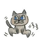 たぬきねこのスタンプ（個別スタンプ：1）