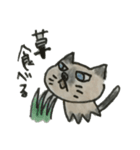たぬきねこのスタンプ（個別スタンプ：7）
