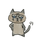 たぬきねこのスタンプ（個別スタンプ：9）