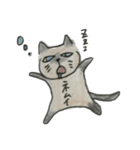 たぬきねこのスタンプ（個別スタンプ：14）