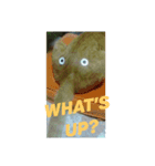 猫が色々しゃべります7（個別スタンプ：3）