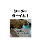 猫が色々しゃべります7（個別スタンプ：4）