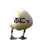 ドイツのトリ（個別スタンプ：3）