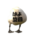 ドイツのトリ（個別スタンプ：4）