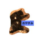 黒猫みぃーたん（個別スタンプ：2）