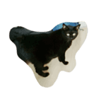 黒猫みぃーたん（個別スタンプ：3）