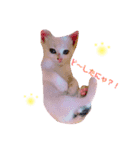 白猫のゆずちゃんスタンプ（個別スタンプ：2）