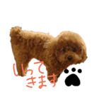 のんちゃんズ2（個別スタンプ：8）
