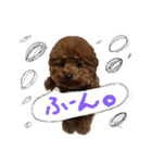 のんちゃんズ2（個別スタンプ：13）