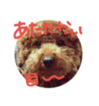 のんちゃんズ2（個別スタンプ：14）