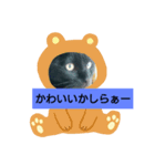 くろねこたん。（個別スタンプ：4）