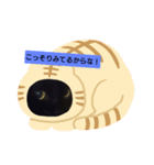 くろねこたん。（個別スタンプ：6）