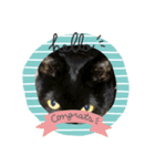 くろねこたん。（個別スタンプ：7）