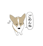 ぐうたら犬のスタンプ（個別スタンプ：3）