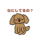 トインプー（個別スタンプ：1）