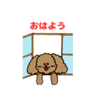 トインプー（個別スタンプ：4）
