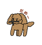 トインプー（個別スタンプ：9）
