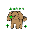 トインプー（個別スタンプ：10）