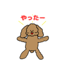 トインプー（個別スタンプ：14）