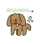トインプー（個別スタンプ：19）