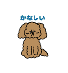 トインプー（個別スタンプ：20）