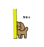 トインプー（個別スタンプ：21）