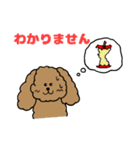 トインプー（個別スタンプ：22）