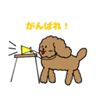 トインプー（個別スタンプ：24）