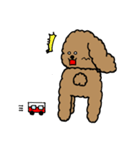 トインプー（個別スタンプ：30）