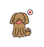 トインプー（個別スタンプ：31）