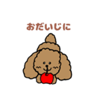 トインプー（個別スタンプ：39）