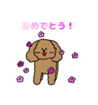 トインプー（個別スタンプ：40）