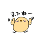 ゆる〜いぴよこ（個別スタンプ：11）