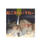 ハムスターかわいい（個別スタンプ：2）