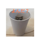 ハムスターかわいい（個別スタンプ：3）
