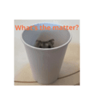 A lovely hamster life（個別スタンプ：1）