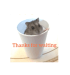 A lovely hamster life（個別スタンプ：2）