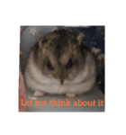 A lovely hamster life（個別スタンプ：6）