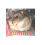 A lovely hamster life（個別スタンプ：8）