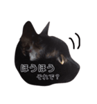 うちの子たち2（個別スタンプ：3）