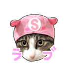ししまるはん（個別スタンプ：7）