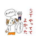 にゃんこST（個別スタンプ：4）