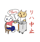 にゃんこST（個別スタンプ：23）