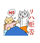 にゃんこST（個別スタンプ：24）