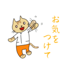 にゃんこST（個別スタンプ：34）