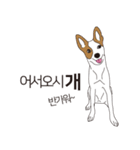 BORY、韓国の一般的な犬の日常生活（個別スタンプ：6）